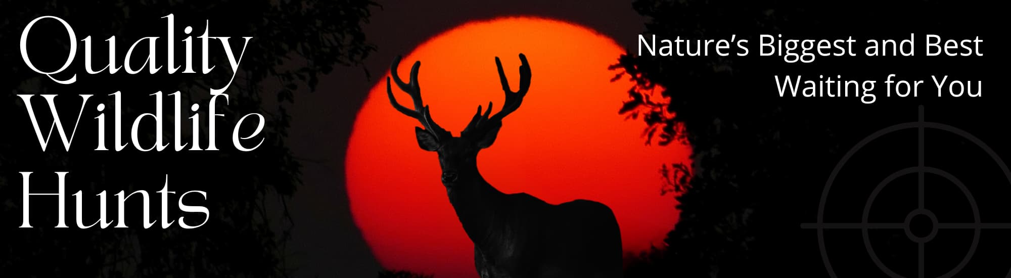 Deer in front of sunset